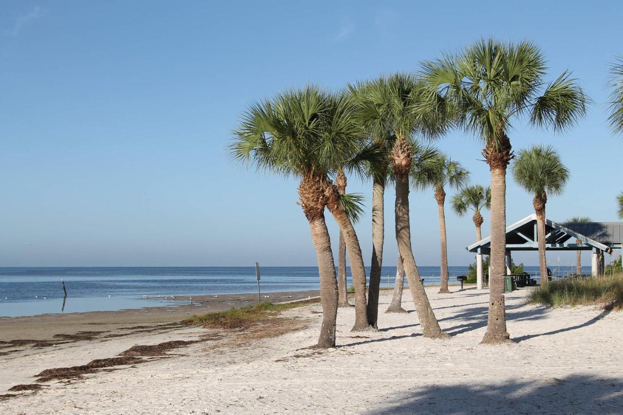 Marlin'S Palm Oasis - Beach House, Amazing Pool, Bbq Area Port Richey Exterior photo